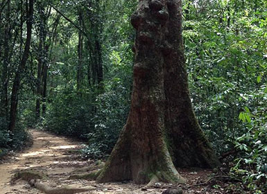 Phu Quoc National Park